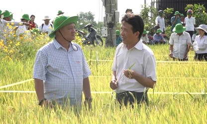 Tien Giang’s farmer becomes successful businessman