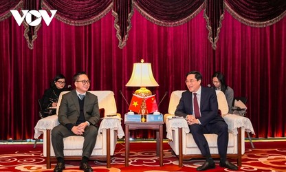 VOV, CMG discuss development strategies in the new context