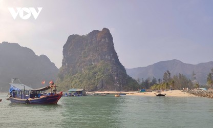 Quang Ninh digitizes fisheries data to address EU’s IUU warning