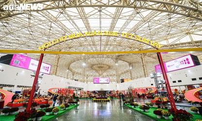 Vietnamese products gain fresh momentum as domestic market recovers