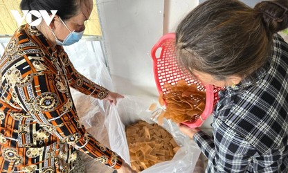 Nam Can shrimp cracker craft village bustles for Tet demand