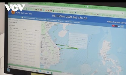 Quang Ngai fishermen adopt technology, say no to IUU fishing