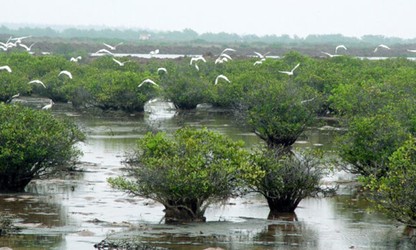 Xuan Thuy National Park recognized as ASEAN Heritage Park