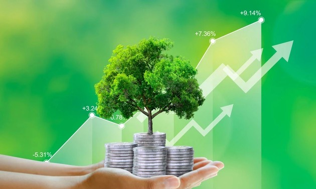 Ekonomi Hijau Menjadi Sorotan Pemikiran Pembangunan Nasional