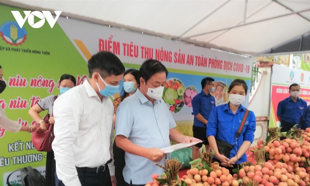 Kementerian Pertanian dan Pengembangan Pedesaan Vietnam Luncurkan Tempat Bantuan Pemasaran Hasil Pertanian yang Aman di Tengah Pandemi Covid-19