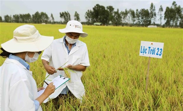 Bangunkan dan Kembangkan Brand-Brand Hasilan Khas di Daerah Dataran Rendah Sungai Mekong secara Berkelanjutan