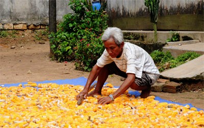 Mấu Thanh Dương – patriarca honrado por los aldeanos de Dốc Trầu