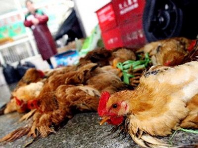 China confirman otros dos casos de infectados de H7N9