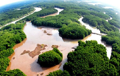 Plan de acción nacional para enfrentar el cambio climático en 2012-2020