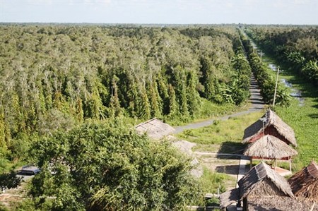 Declara UNESCO a Parque nacional U Minh Thuong Patrimonio de ASEAN