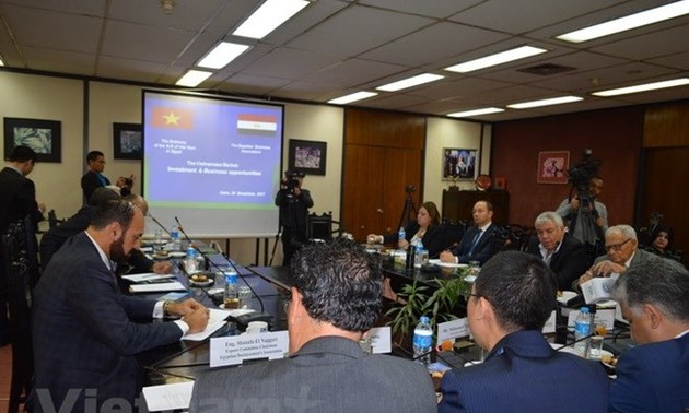 Vietnam busca marcar hitos históricos en las relaciones diplomáticas con Etiopía y Egipto 