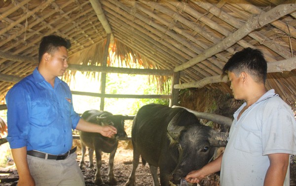 Agricultores de localidad norteña prosperan con préstamos preferenciales