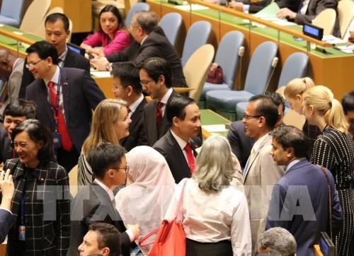 Periódico de la India confía en aportes de Vietnam a revitalizar los esfuerzos de la ONU