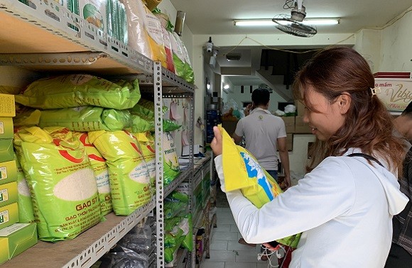 Promueven el cultivo del arroz ST25 en Vietnam 