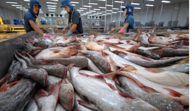 El pangasius de Vietnam en más de 140 mercados extranjeros