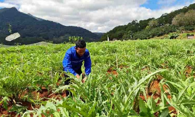 Lam Dong apuesta por revitalizar la situación socioeconómica de los pueblos étnicos locales