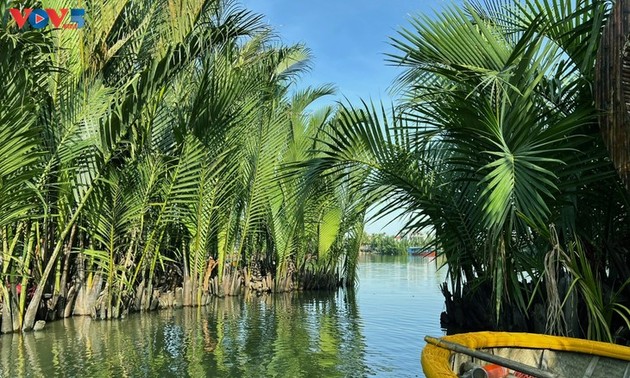 Bosque de cocoteros de Bay Mau: “Un pequeño Mekong” en pleno corazón de Hoi An