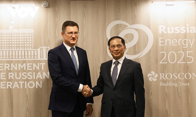 El Gobierno ruso, comprometido a acelerar el cumplimiento de los acuerdos alcanzados con Vietnam