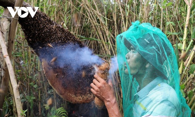 Bosque adentro: adivinar el viento e instalar el apiario