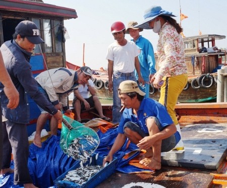 Da Nang aumenta rastreabilidad de productos marinos 