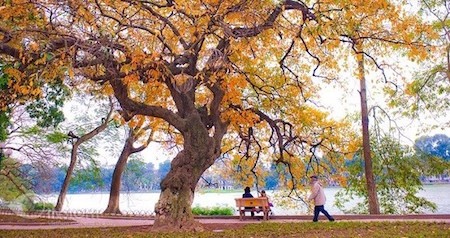 El fascinante otoño de Hanói en la música