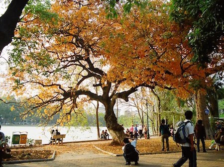 El fascinante otoño de Hanói en la música