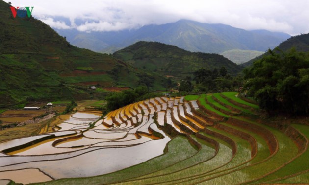 Mu Cang Chai nombrado entre los 50 lugares más bellos del mundo 