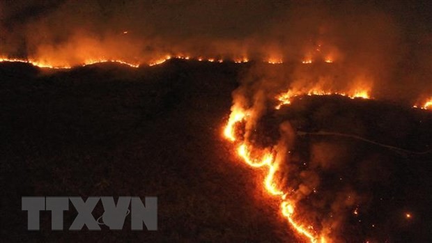 Papa Francisco llama a la cooperación global contra los incendios en el Amazonas