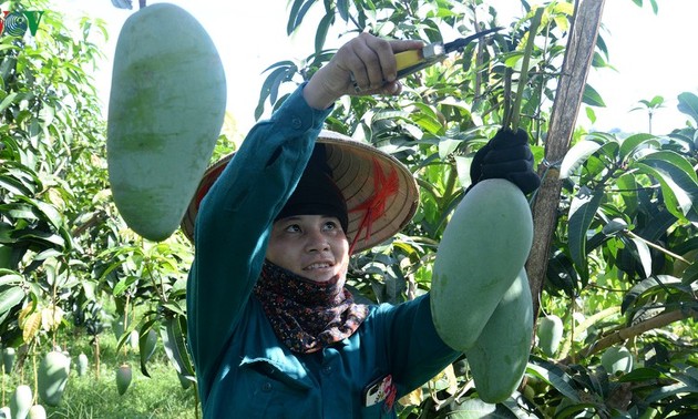 Localidad norteña por ganar más cuotas de mercados nacional y extranjeros de productos agrícolas