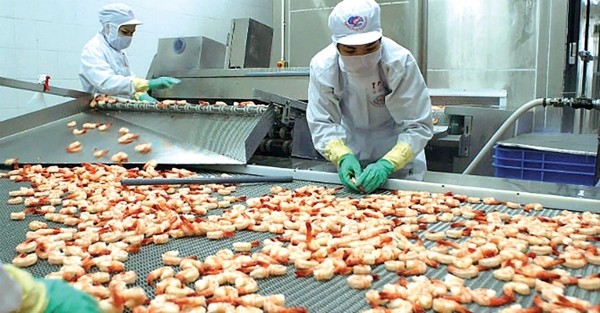 Vietnam espera exportar productos marítimos por 8 mil 900 millones de dólares en 2020