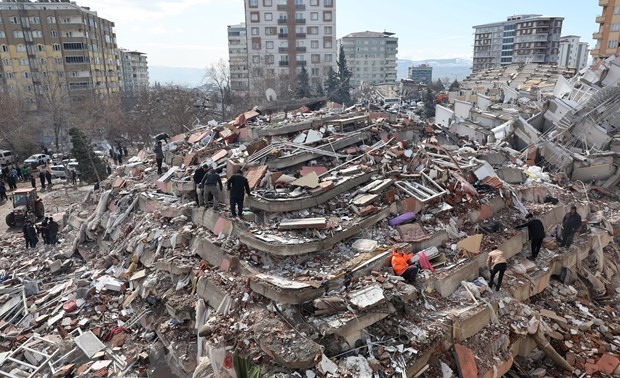 Vietnamitas en Polonia apoyan a víctimas de terremotos en Turquía y Siria