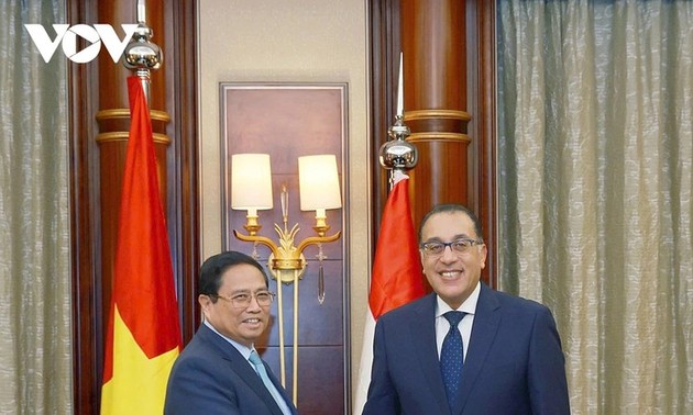 Premier vietnamita dialoga con su homólogo egipcio