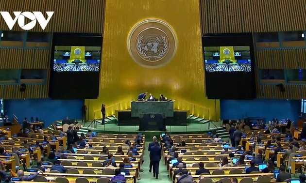 Vietnam reelegido como miembro de la Comisión de la ONU para el Derecho Mercantil Internacional