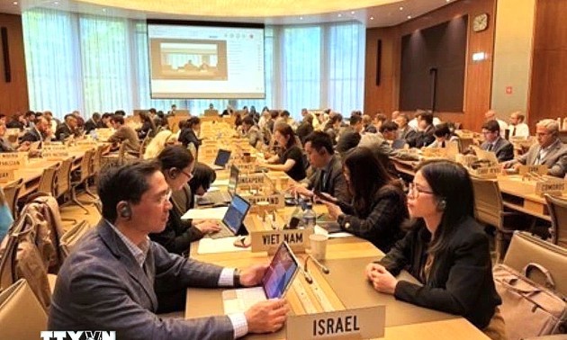 Vietnam participa en reuniones sobre medidas de defensa comercial en la OMC
