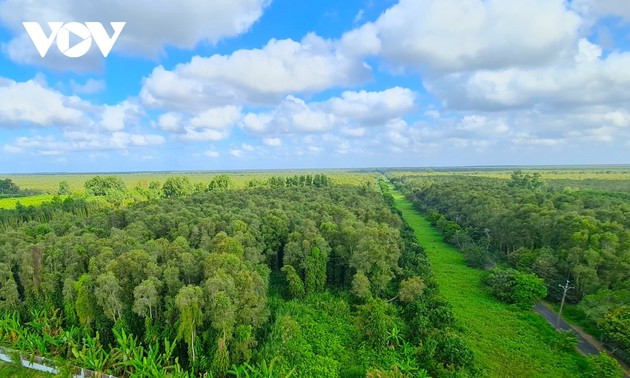 U Minh Ha: santuario en el extremo austral continental de Vietnam