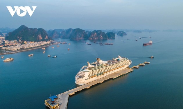 Quang Ninh espera superar en 43 % ingresos presupuestarios de 2025