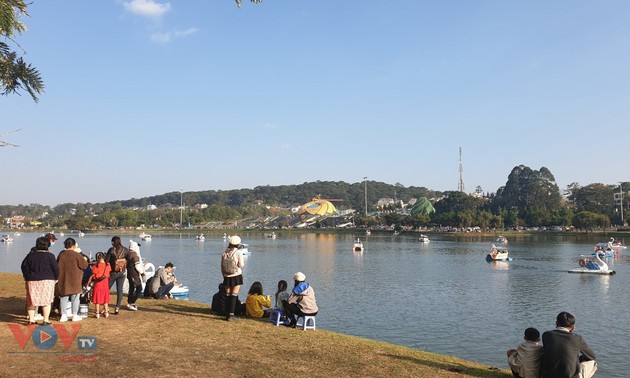 大叻市吸引大量游客前来春游