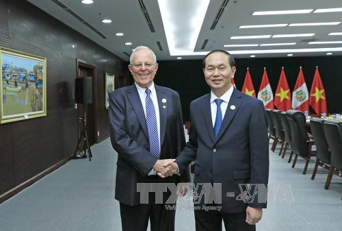 APEC 2017: Tran Dai Quang s’entretient avec des dirigeants d’autres économies membres