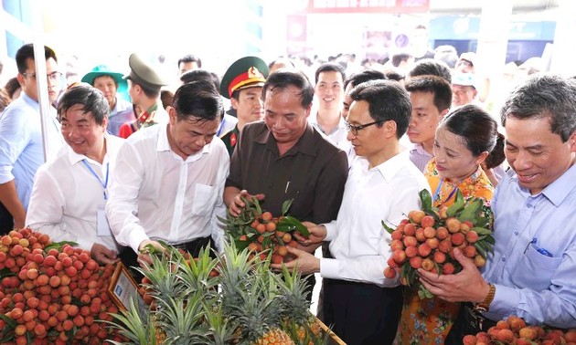 Ouverture de la fête des litchis de Thanh Hà 2018