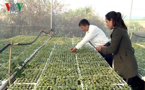  Quand même l’agriculture devient «intelligente» !...