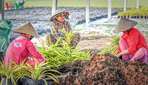 «Partenariat public-privé pour le développement durable de l’agriculture»