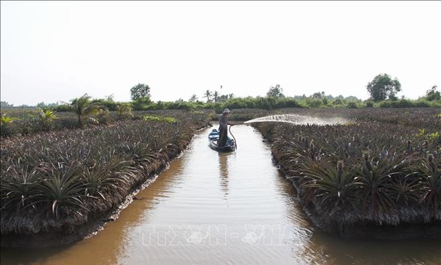 La salinisation dans le delta du Mékong diminue