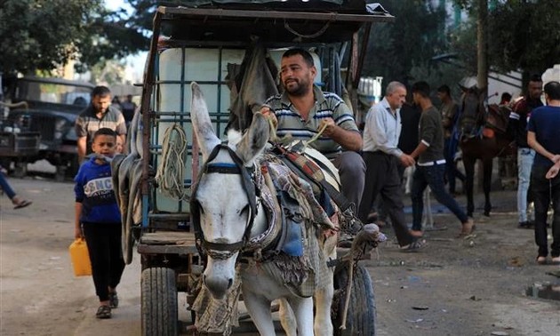 Vers une escalade du conflit: Israël avertit les Palestiniens du sud de Gaza