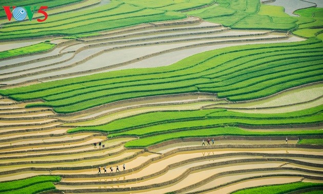 Picturesque Mu Cang Chai in monsoon season 