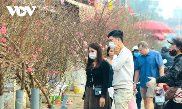 Bustling flower market ahead of Lunar New Year holiday