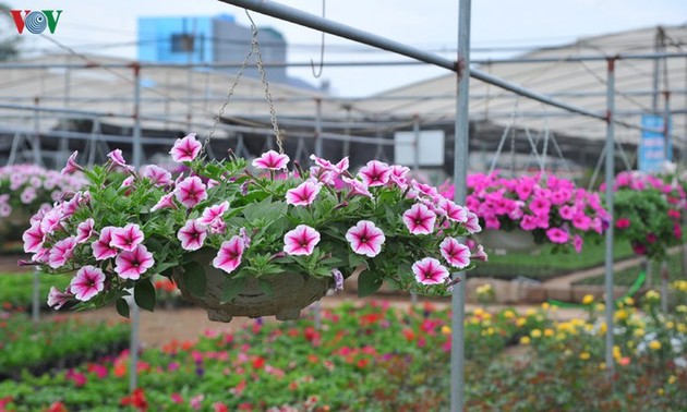 À la découverte des villages horticoles à l’approche du Têt