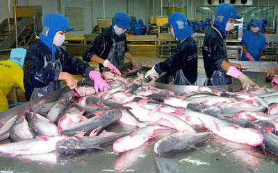  Forum on Vietnam catfish exports to EU opens in Brussels