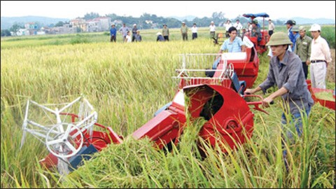 Japan to introduce investment opportunities in Vietnam’s agriculture