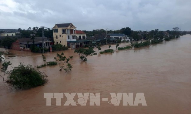 Vietnam’s coastline needs a new resilience development strategy: WB report