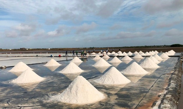 Vietnam Salt Industry Festival 2025 to open in March